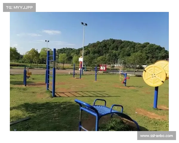 农村体育内容生态繁荣,展现乡土文化与体育融合魅力 农村体育内容生态繁荣,展现乡土文化与体育融合魅力